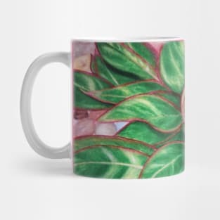 Chinese Evergreen Mug